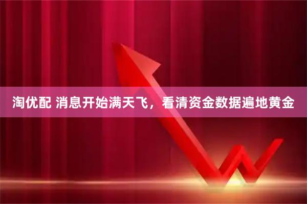 淘优配 消息开始满天飞，看清资金数据遍地黄金